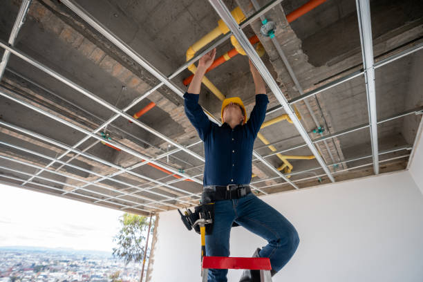 Best Emergency Plumber  in Fort Lupton, CO