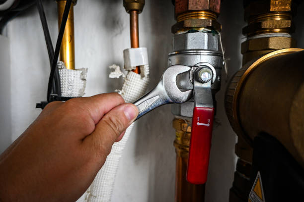 Best Sprinkler Systems  in Fort Lupton, CO